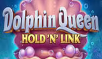 Dolphin Queen