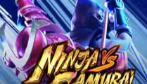 Ninja vs Samurai