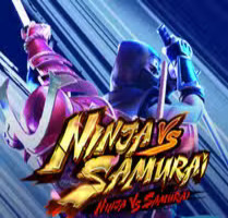 Ninja vs Samurai