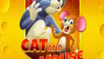 Cat and Mouse