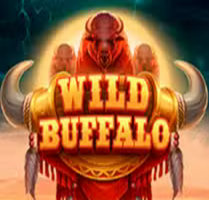 Wild Buffalo