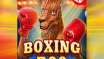 Boxing Roo