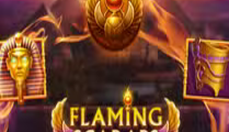 Flaming Scarabs