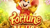 Fortune Mouse
