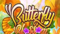 Butterfly Blossom
