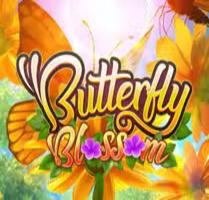 Butterfly Blossom