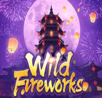 Wild Fireworks