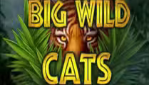 Big Wild Cats