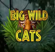 Big Wild Cats