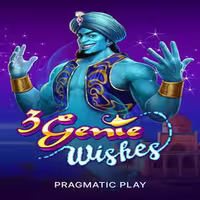 3 Genie Wishes