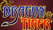 Dragon Tiger