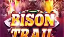 Bison Trail