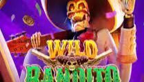 Wild Bandito