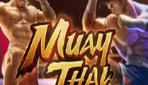 Muay Thai Champion