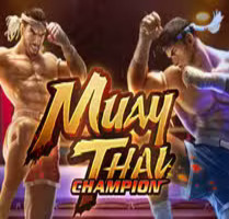 Muay Thai Champion