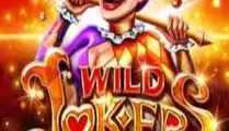 Wild Joker