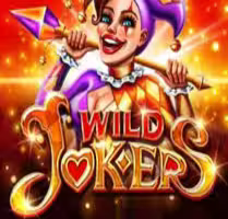 Wild Joker