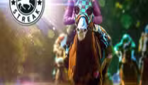 Horses Streak