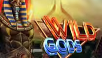Wild Gods