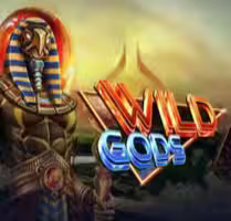 Wild Gods