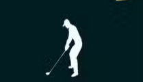 Virtual Golf