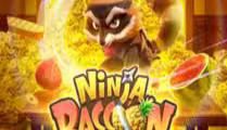 Ninja Raccoon Frenzy