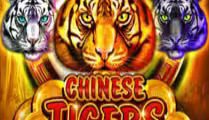 Chinese Tigers