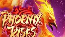 Phoenix Rises
