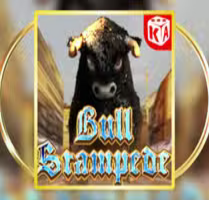 Bull Stampede