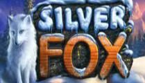 Silver Fox