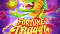 Fortune Dragon
