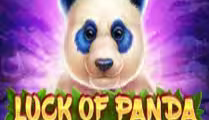 Luck of Panda: Bonus Combo