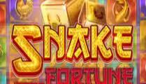 Snake Fortune Hold and Win