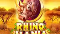 Rhino Mania