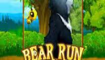 Bear Run