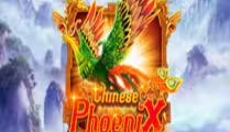 Chinese Phoenix