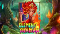 Element Shaman