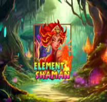 Element Shaman