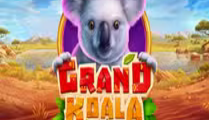 Grand Koala: Hold ‘N’ Link