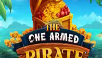 The One Armed Pirate