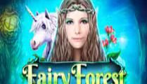 Fairy Forest