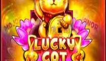 Lucky Cat