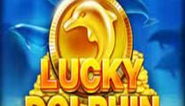 Lucky Dolphin