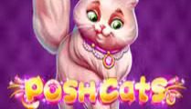 Posh Cats