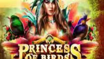 Princess of Birds
