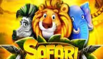 Safari Adventures