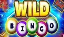 Wild Bingo