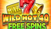 Wild Hot 40 Free Spins