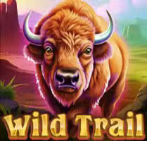 Wild Trail