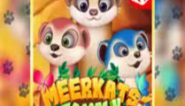 Meerkat’s Family